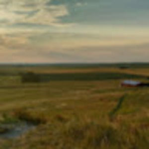 Meet your Posher, Audrey